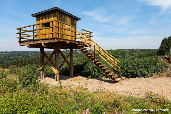 Tour d'observation en bois